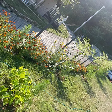 Апартаменты Peaceful In Blazuj, Sarajevo *
